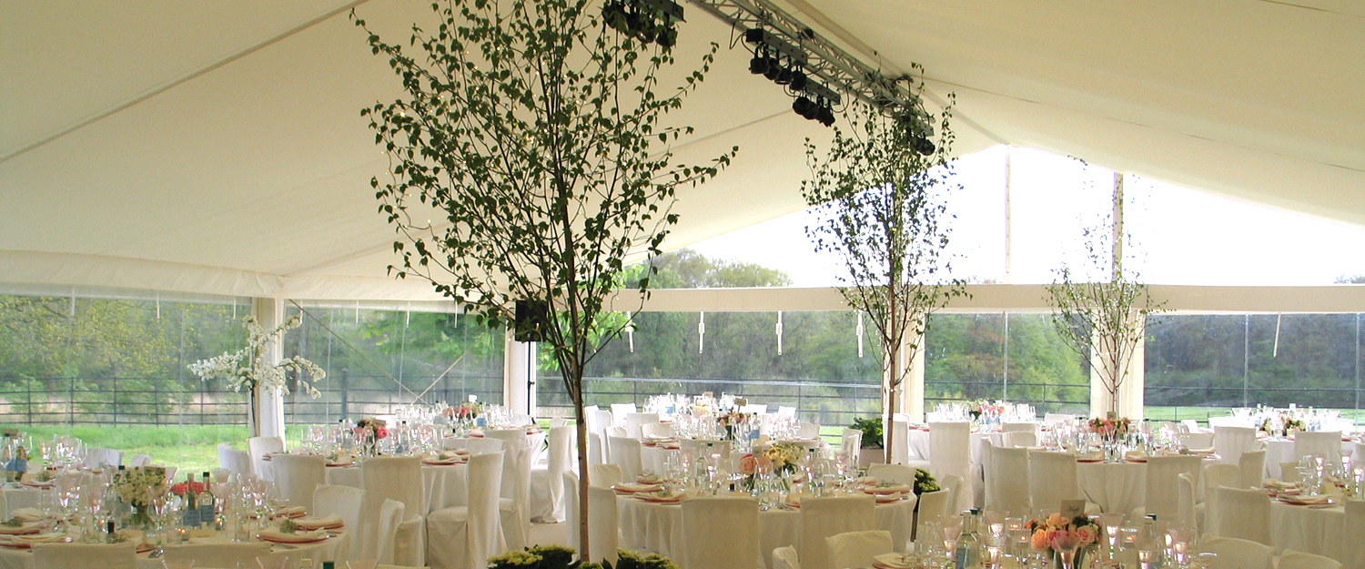 Seamless Apex Linings